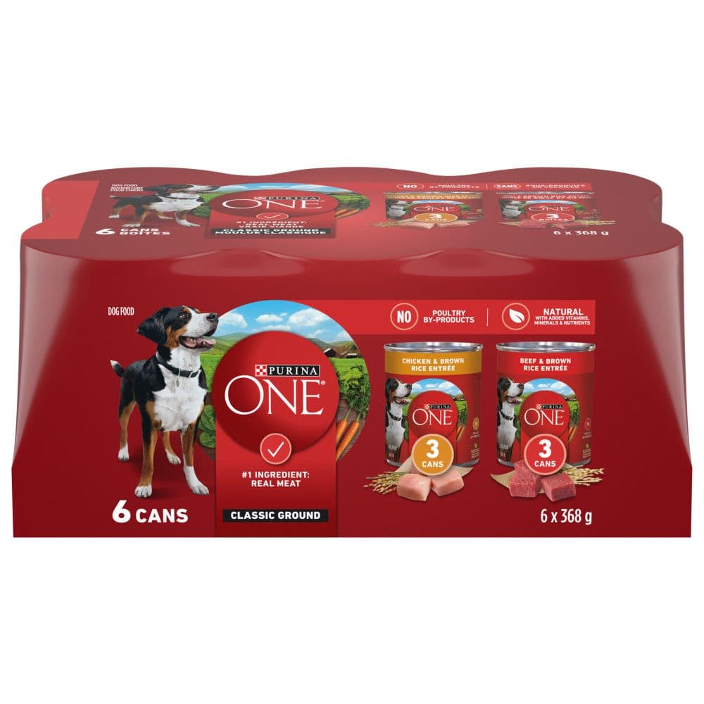 Purina one dog food hot sale wet