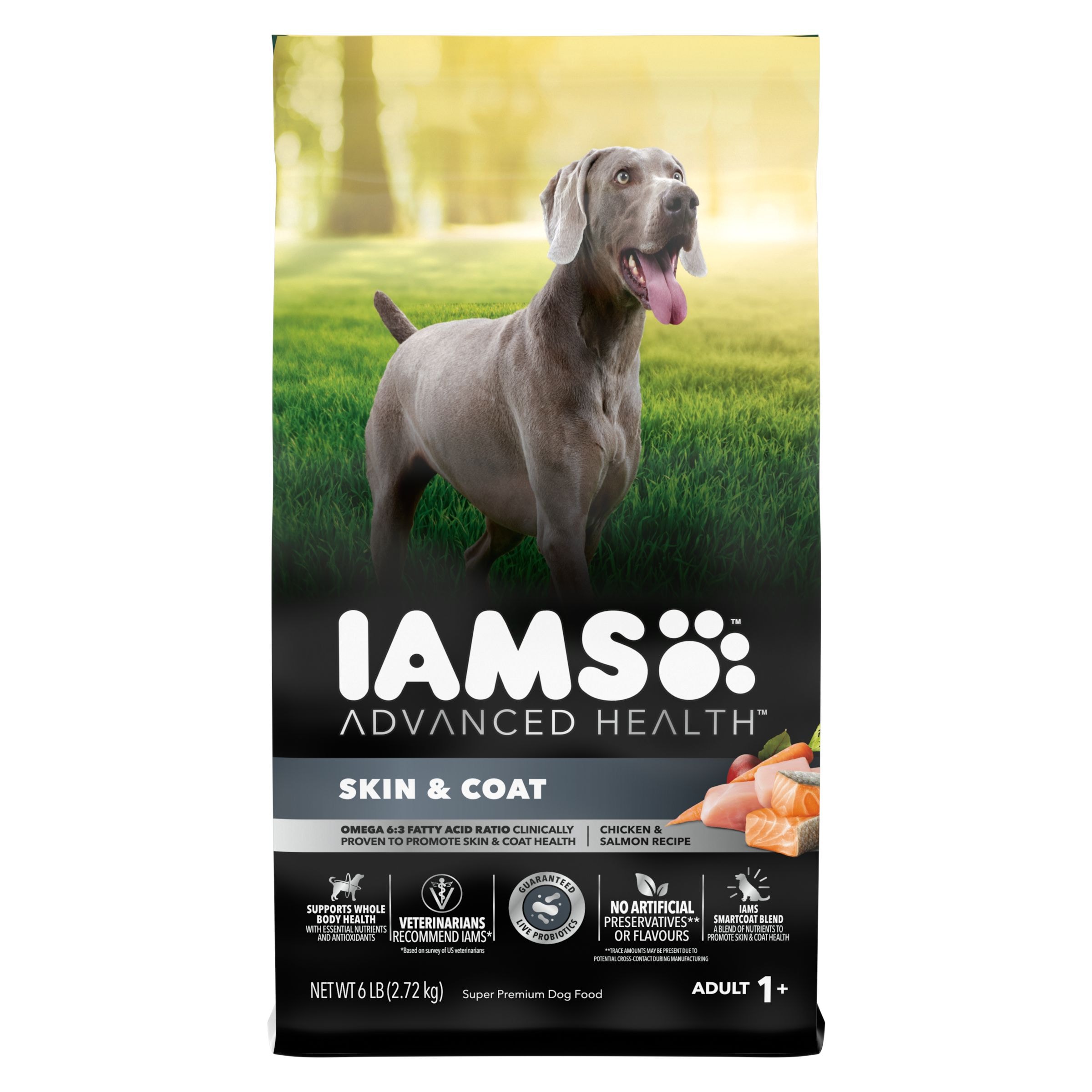 IAMS Advanced Health Skin & Coat Super Premium Adult Dry Dog Food