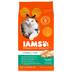 Iams