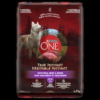 Purina ONE SmartBlend Ture Instinct Beef & Bison Dry Dog Food, 12.4-kg Front_Flat