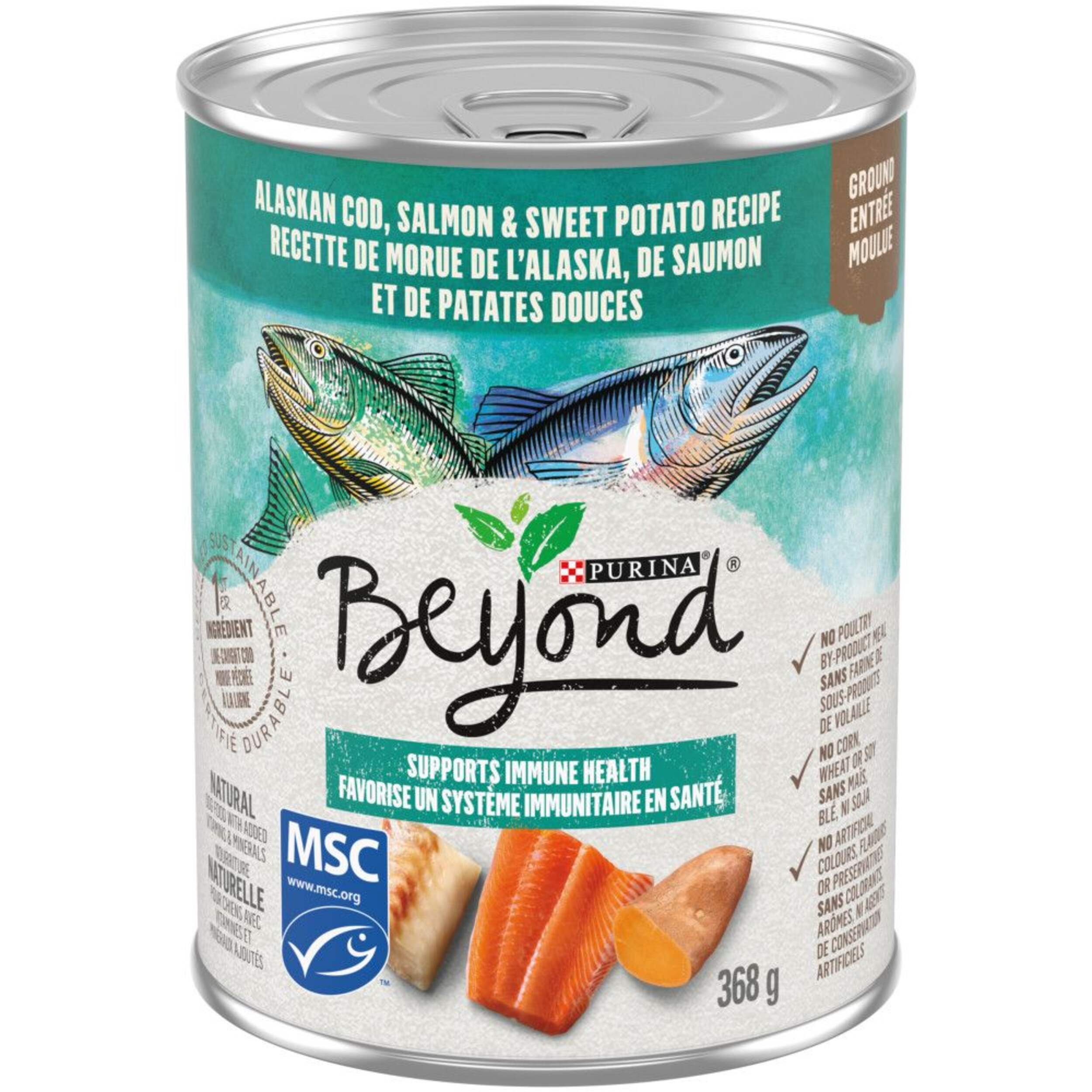 Beyond Grain Free Whitefish & Salmon Wet Dog Food, 368-g Front_Elevated