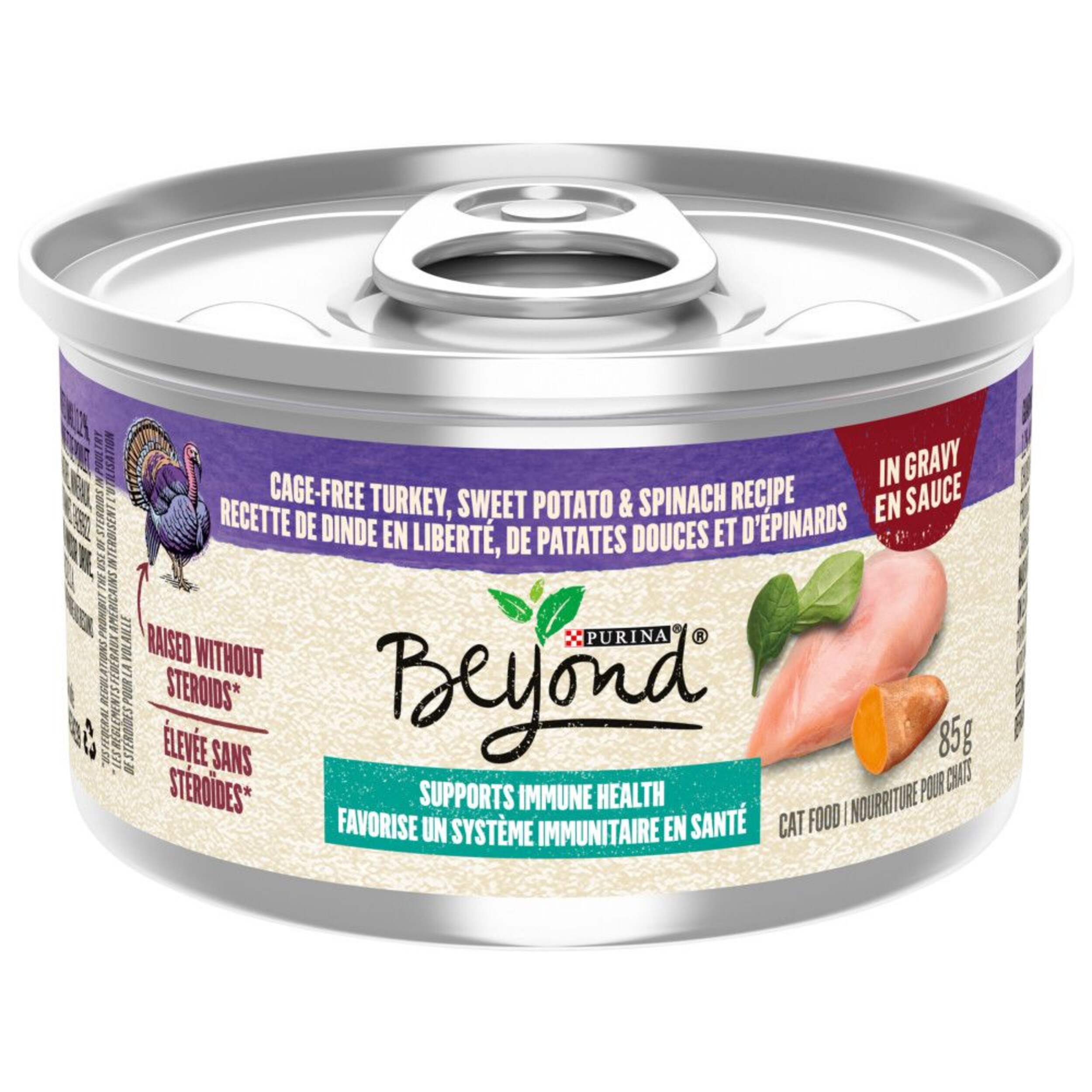 Beyond Grain Free Turkey & Spinach in Gravy Wet Cat Food, 85-g Front_Elevated