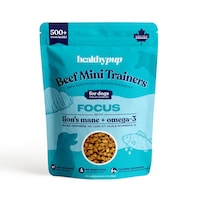 Mini récompense pour chiens Healthypup superaliment Focus, 113 g Front_Flat