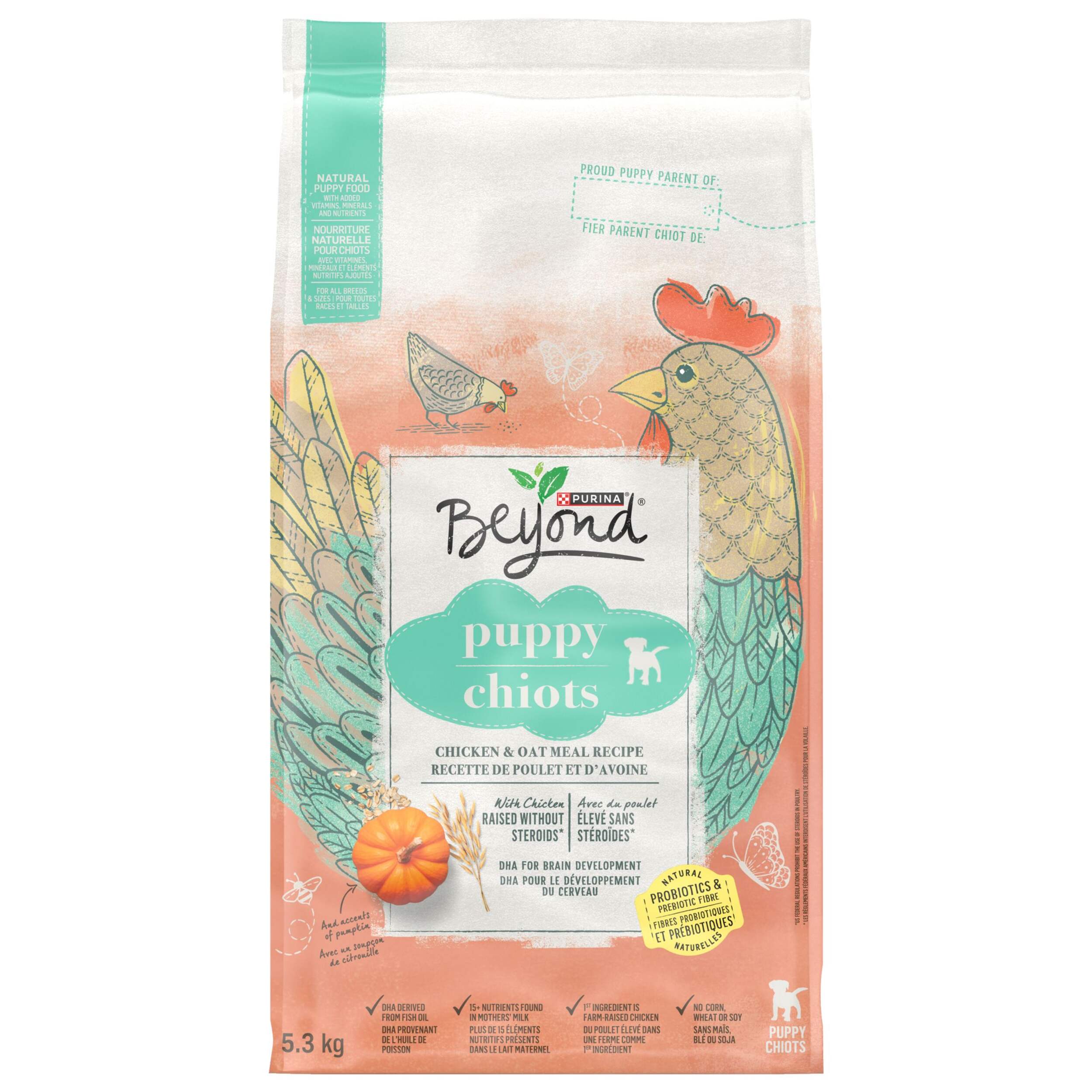 Purina Beyond Dry Puppy Food, Chicken & Oatmeal Recipe, 5.3-kg Front_Flat