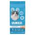 Iams