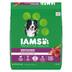 Iams