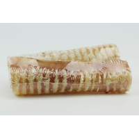 Masters Best Friend All Natural Beef Trachea Dog Chew, 6-in, 2-pk Front_Elevated