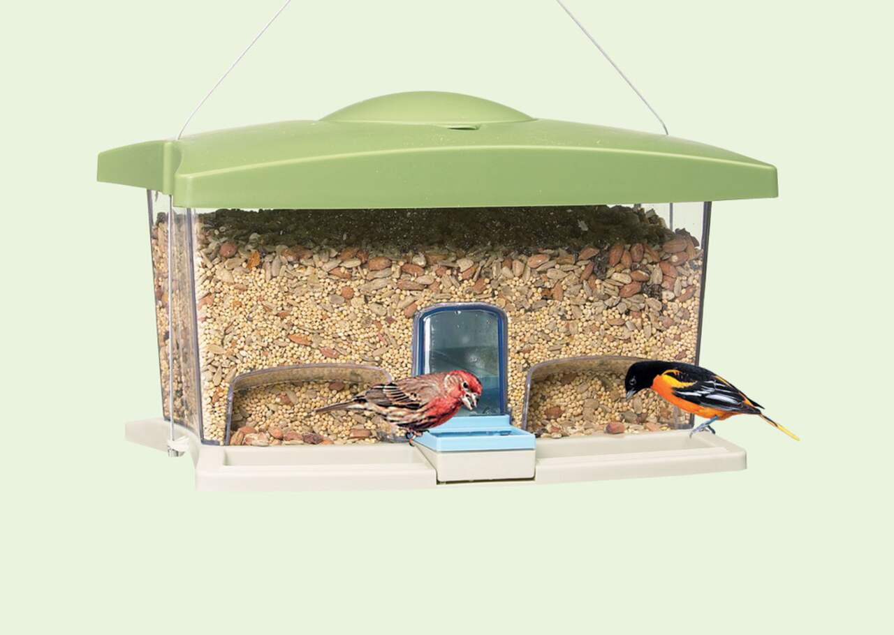 Canadian tire shop bird feeder