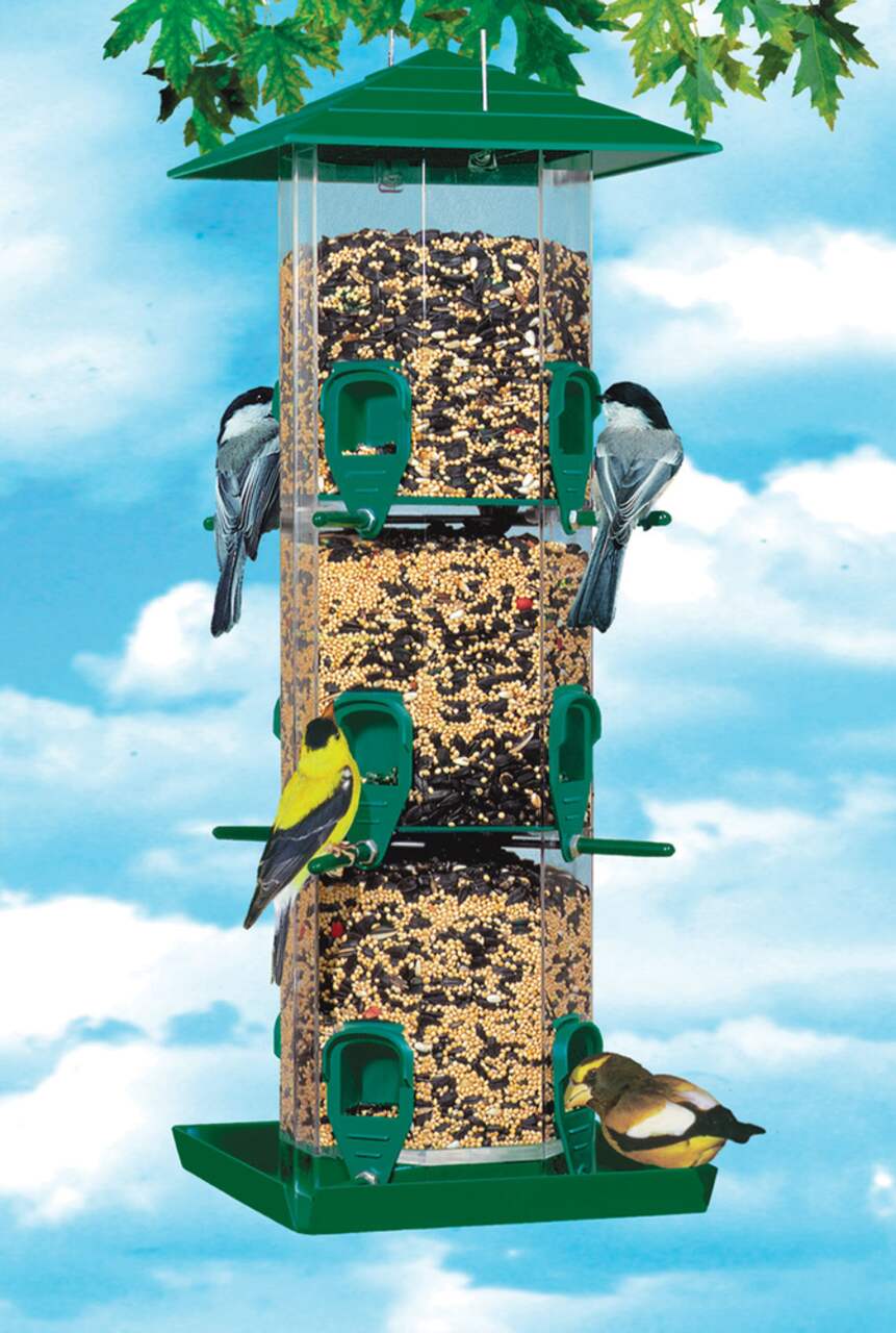 Bain d'oiseaux vert pas cher avec mangeoire et lampe solaire
