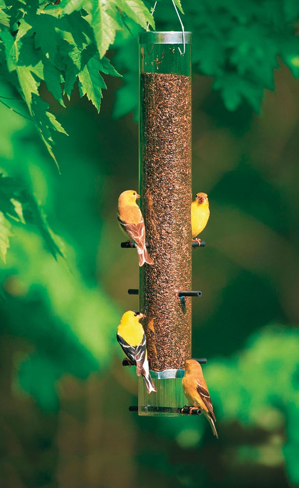 YuleHyde Distlefink Bird Feeder Canadian Tire