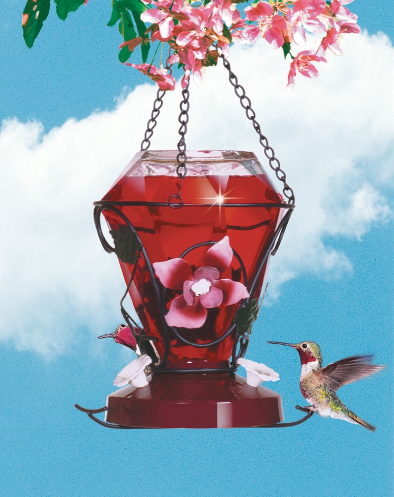Hummingbird Blossom Feeder Canadian Tire