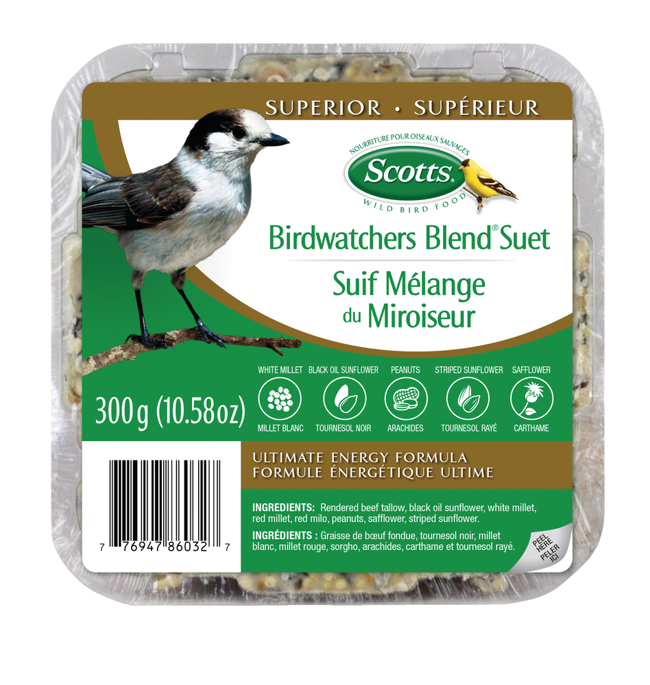 Scotts Birdwatcher's Blend Ultimate Energy Suet Wild Bird Food, 300-g