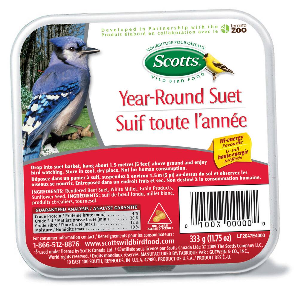 songbird suet