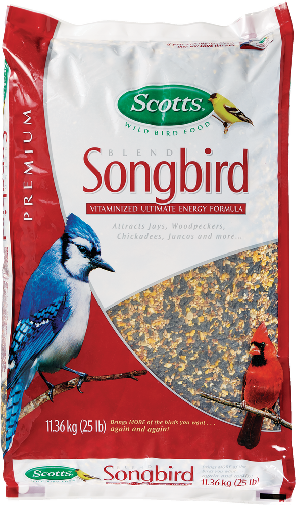 scotts songbird bird seed