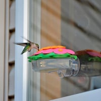 Nature's Way So Real Window Bird Feeder