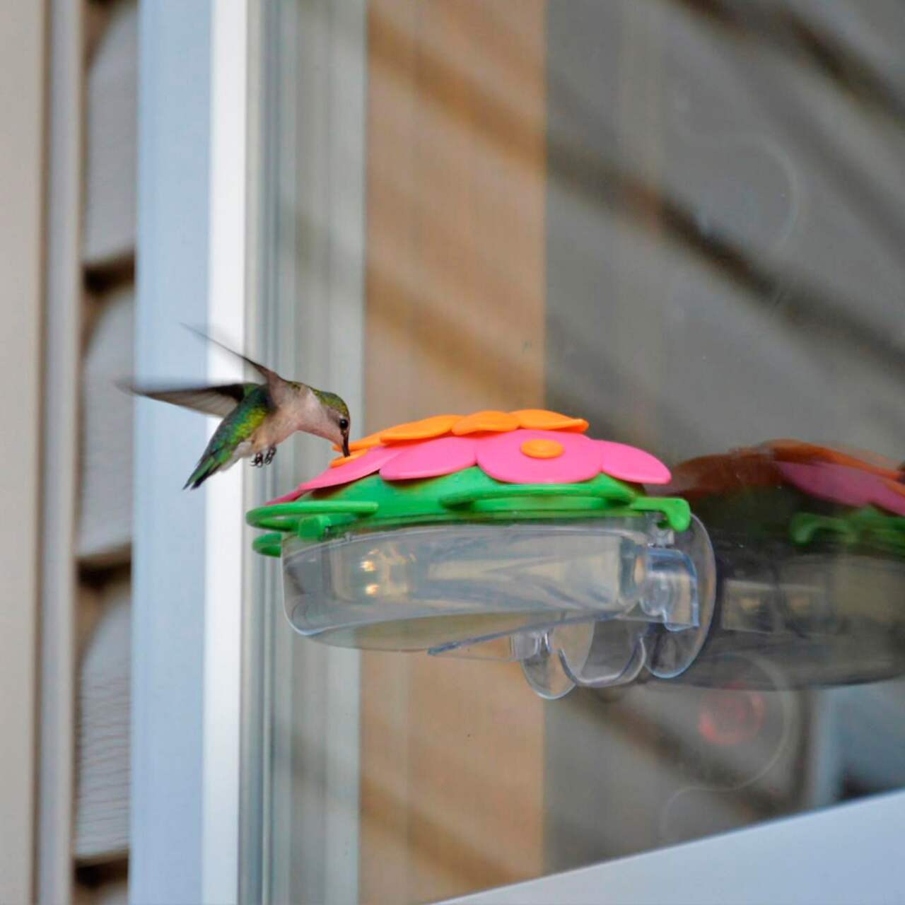 Mangeoire pour colibris en verre