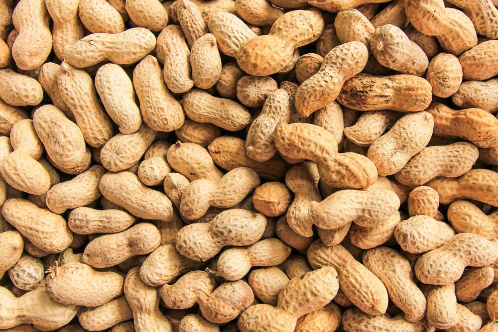 armstrong peanuts for birds