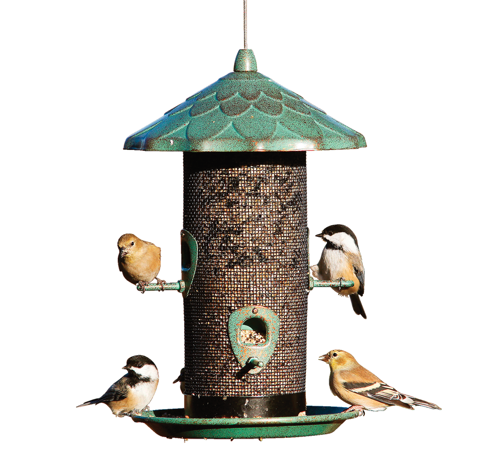 Bird Feeder Clipart