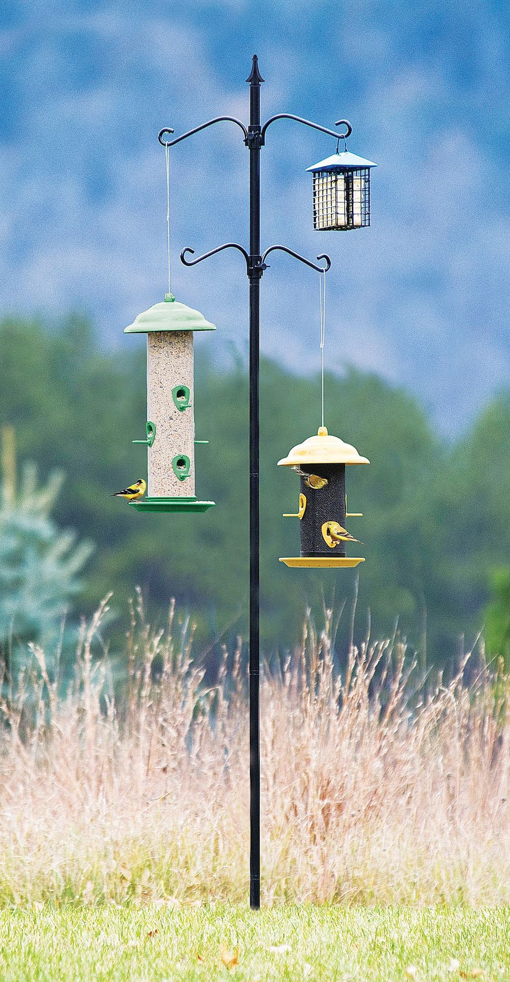 Bird Feeder Hook -  Canada