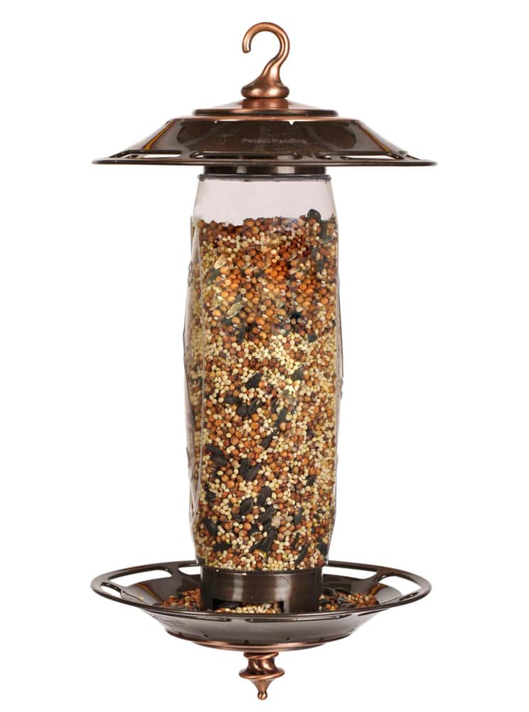 Sip or Seed Bird Feeder | Canadian Tire