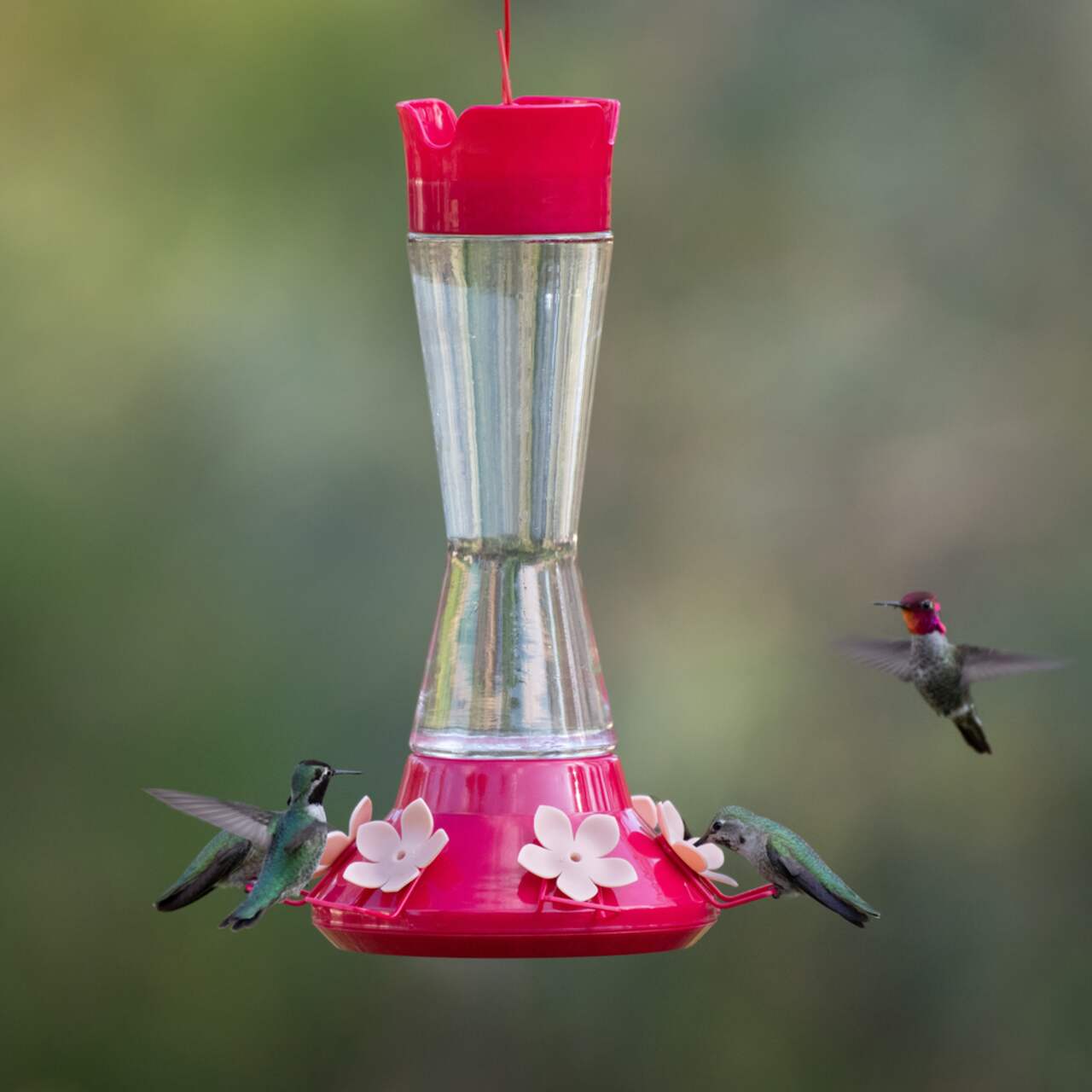 Grande mangeoire en verre à taille pincée pour nectar à colibris