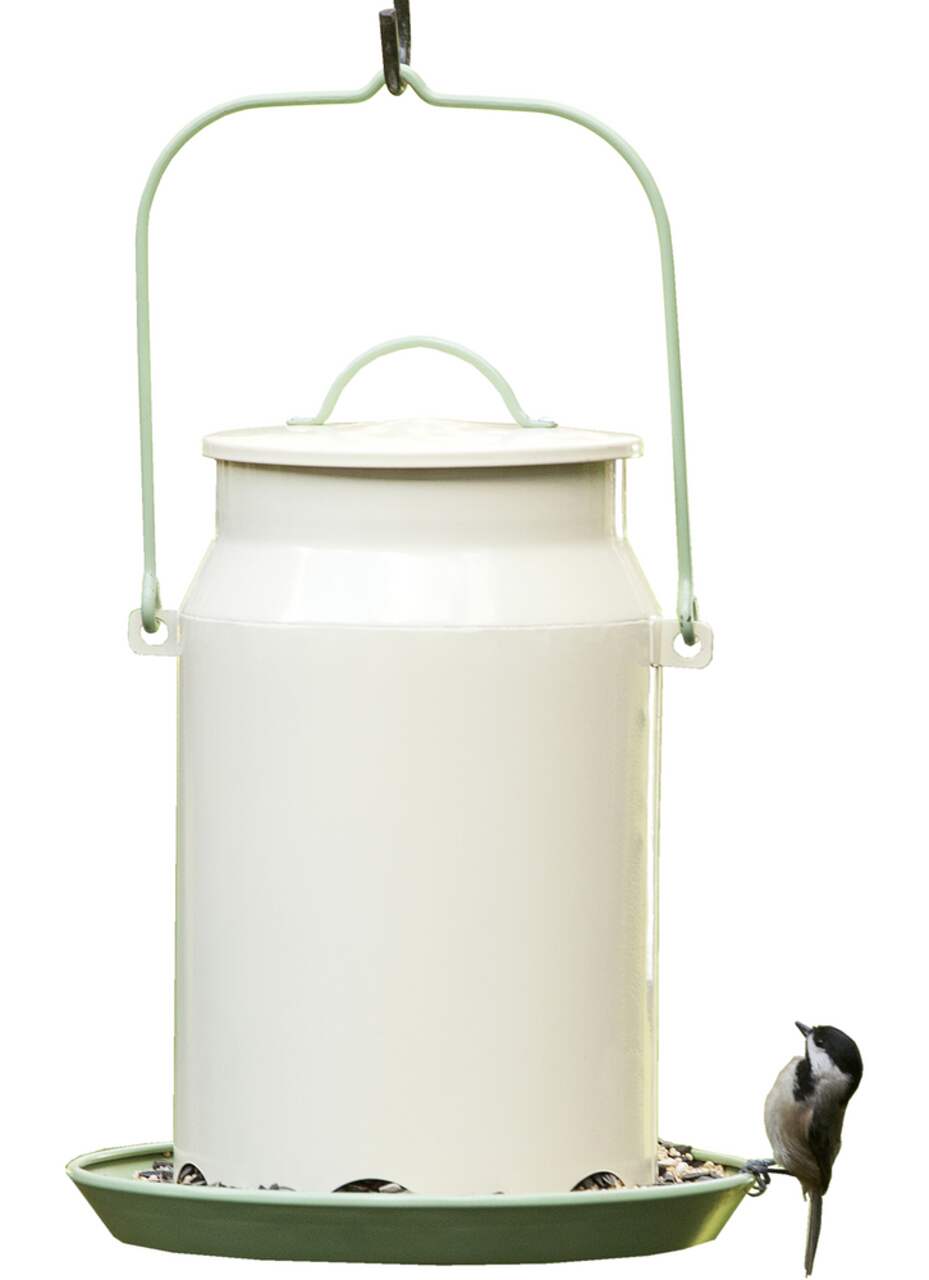 https://media-www.canadiantire.ca/product/living/pet-care/wild-bird-care/1429167/perky-pet-milk-pail-bird-feeder-5-lb-2279c733-761f-4e0a-ab16-88afb834c20e.png?imdensity=1&imwidth=640&impolicy=mZoom