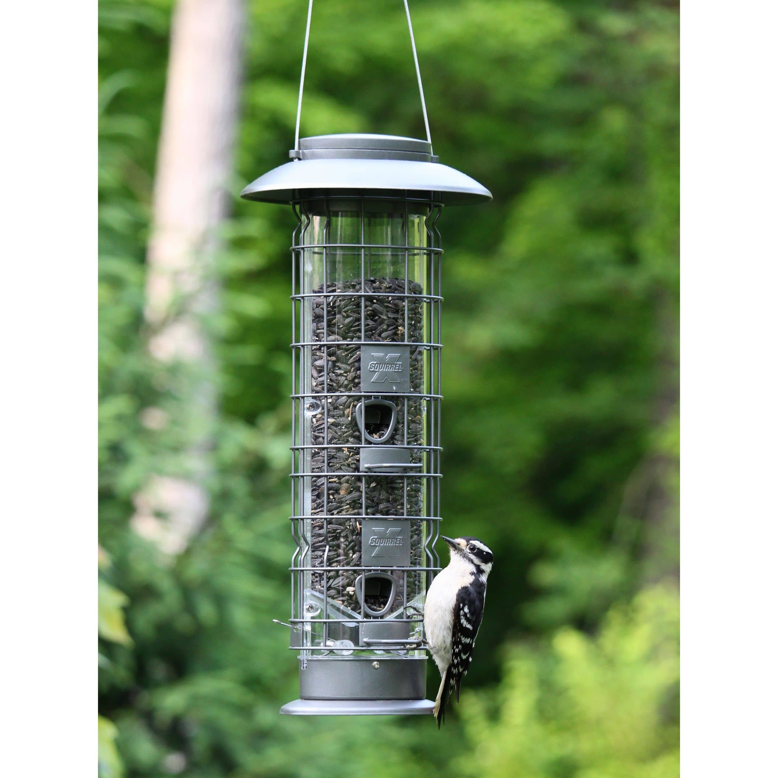 Tractor supply squirrel store proof bird feeders