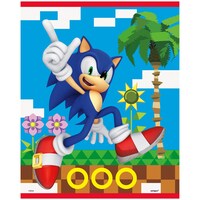 Sacs à surprises Sonic, multicolore, 9 po, paq. 8, pour fête d'anniversaire Front_Flat