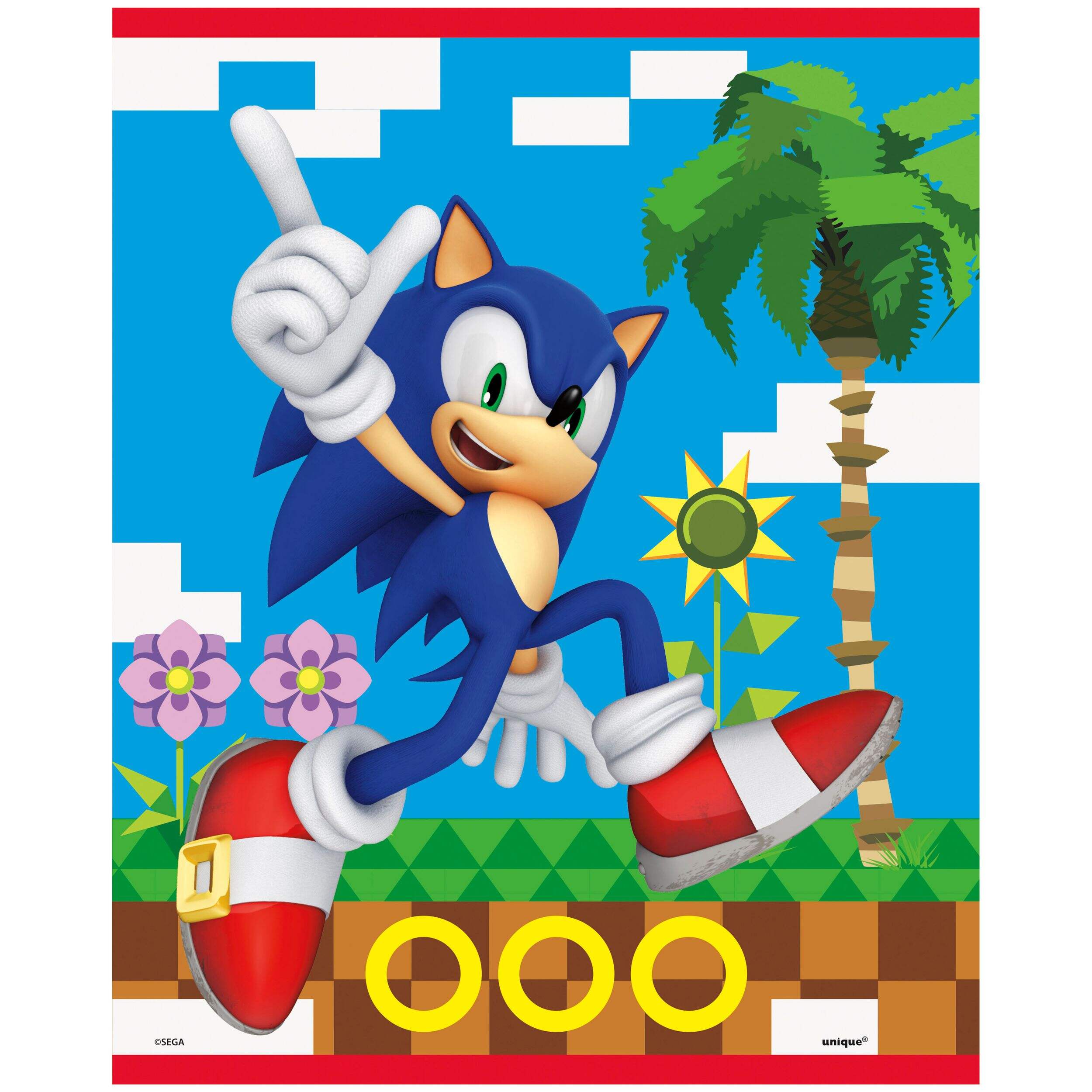Sonic Loot/Party Treat Bags, Multi-Coloured, 9-in, 8-pk, for Birthday Party Front_Flat