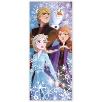 Disney Frozen 2-Door Poster, 27-in x 60-in