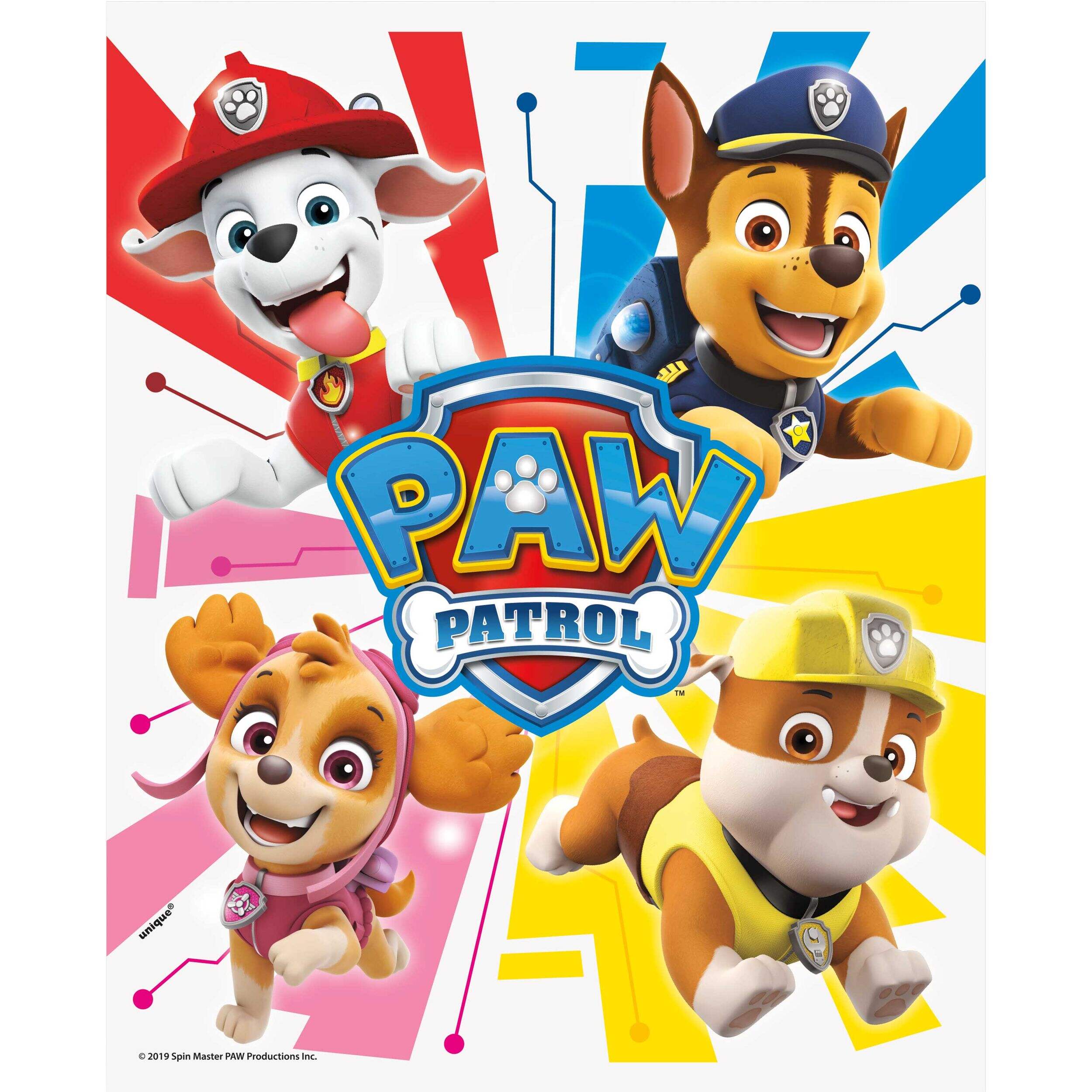 Paw Patrol Disposable Plastic Favour/Loot Bags, 8-pk Front_Flat