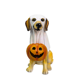 Chien en résine avec costume de fantôme d'Halloween For Living Front_Flat