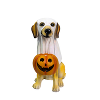 Chien en résine avec costume de fantôme d'Halloween For Living Front_Flat