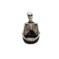 For Living Skeleton Holding Candy Bowl Halloween Decoration Front_Flat