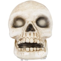 Bone Colour Talking Skull Halloween Decoration, 6.3-in Front_Flat