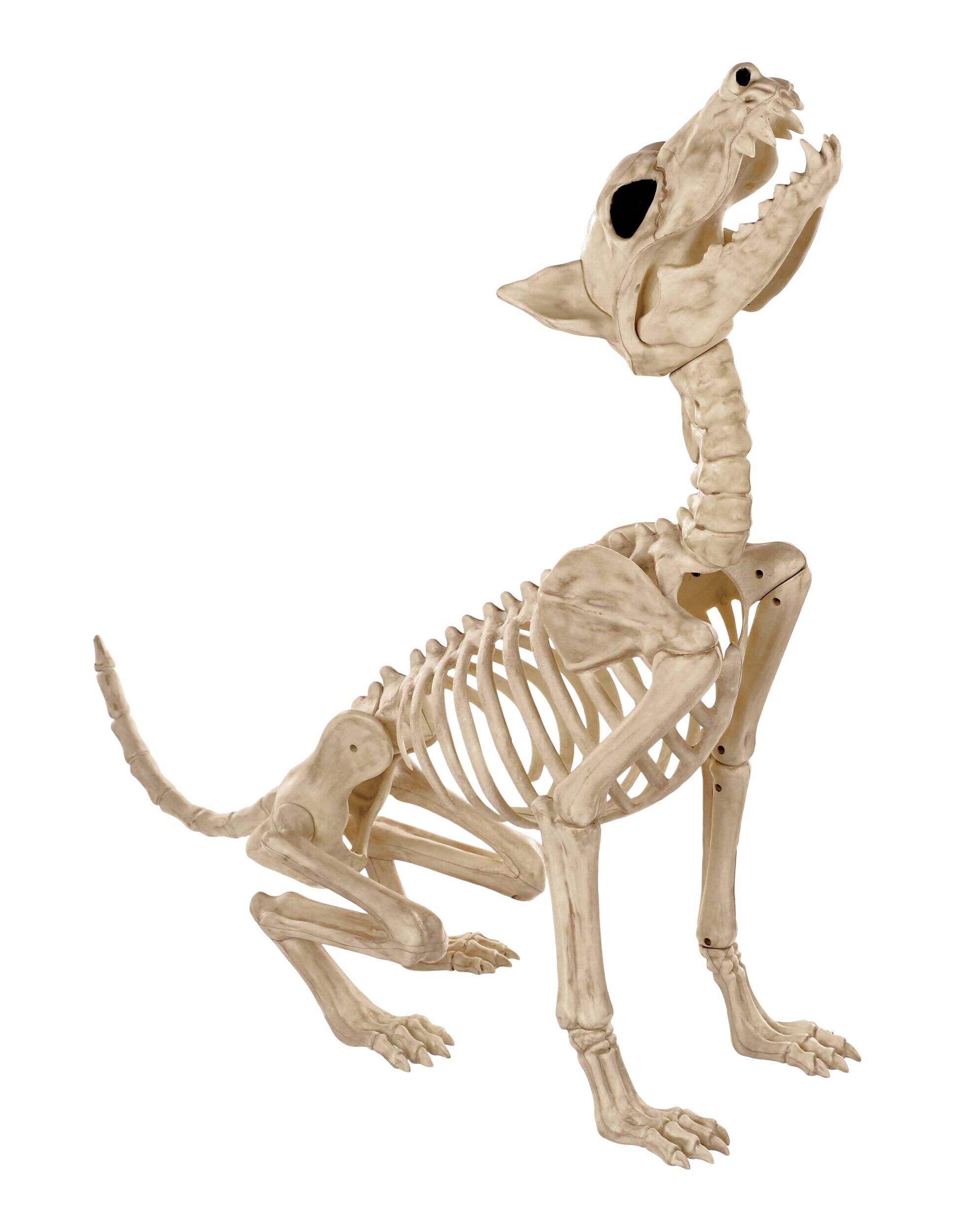 Loup squelette hurlant Front_Angled_Right