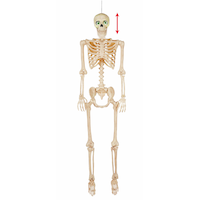 Talking Bonez Plastic Skeleton with Light Up Eyes, 5-ft Front_Flat