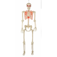 Battery-Powered Light Up Poseable Skeleton with Light Up Eyes, 5-ft Front_Flat