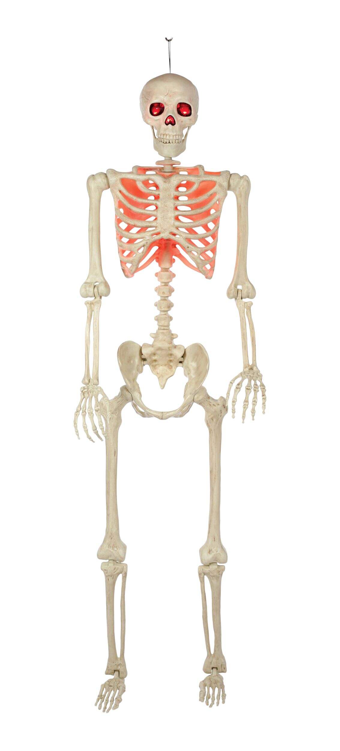 Squelette articulé lumineux, 5 pi Front_Flat