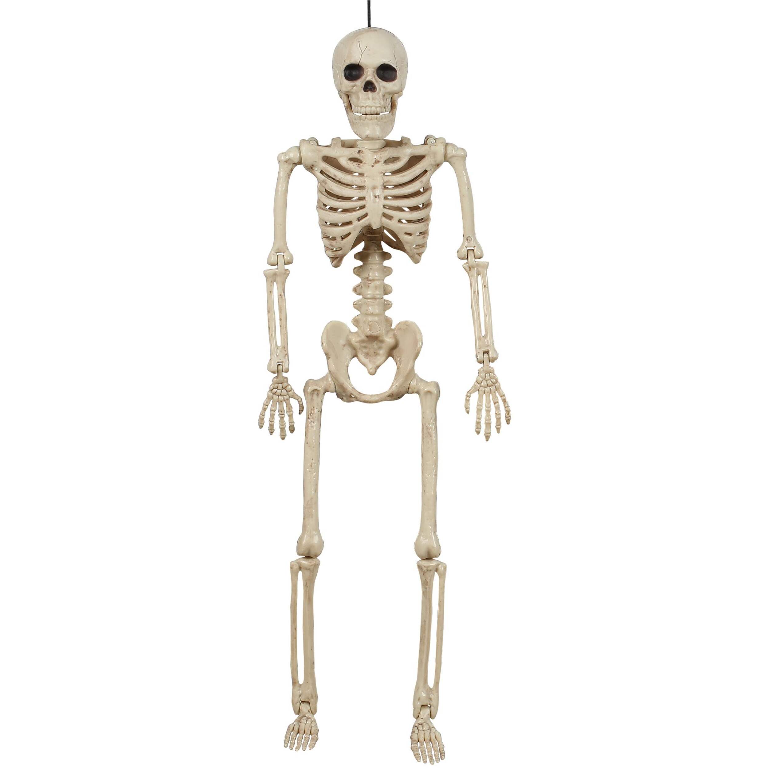 Poseable Hanging Skeleton, 15.5-in Front_Flat