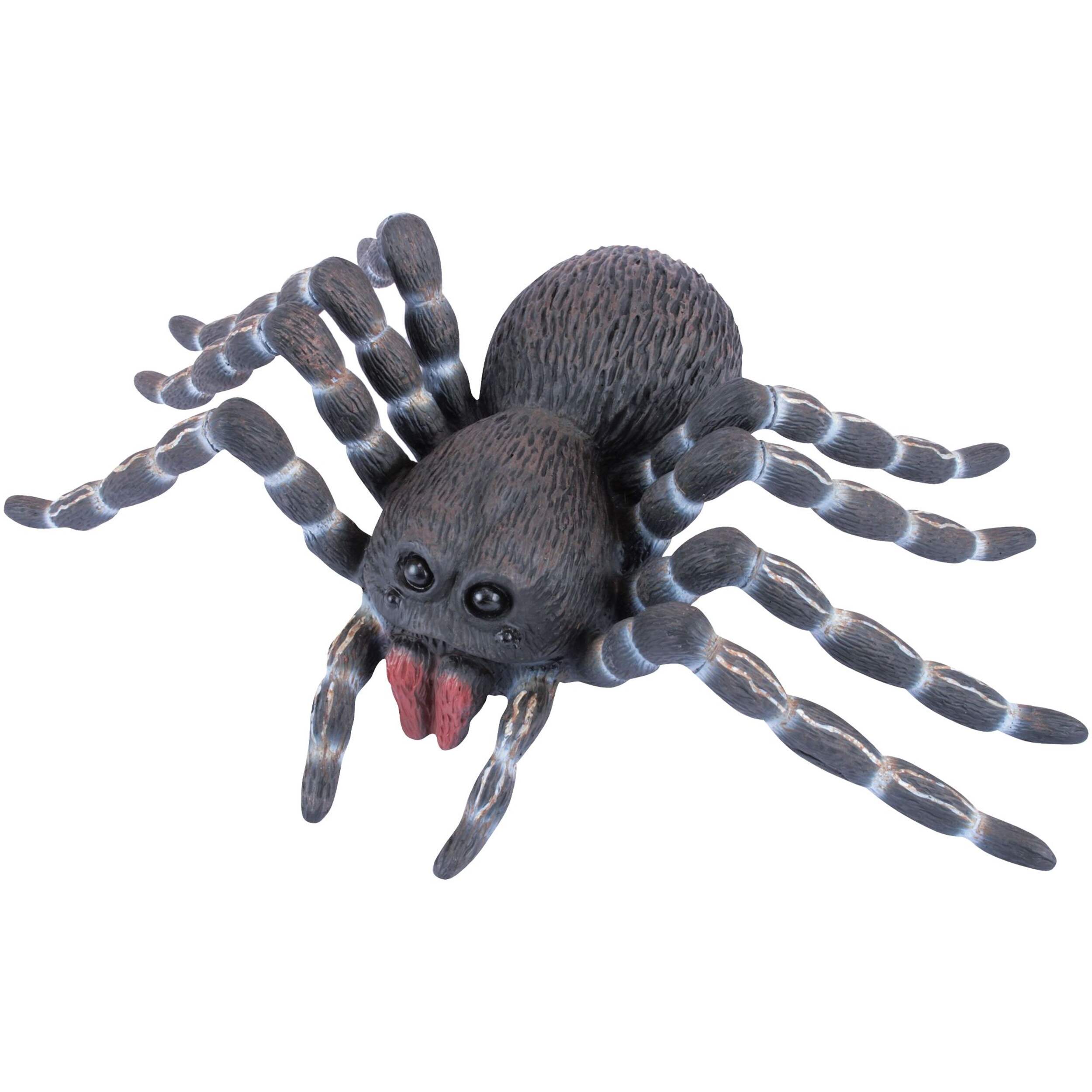 Giant Lifelike Latex Spider Front_Angled_Left
