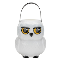 Harry Potter Hedwig Treat Pail for Trick-or-Treating Front_Elevated