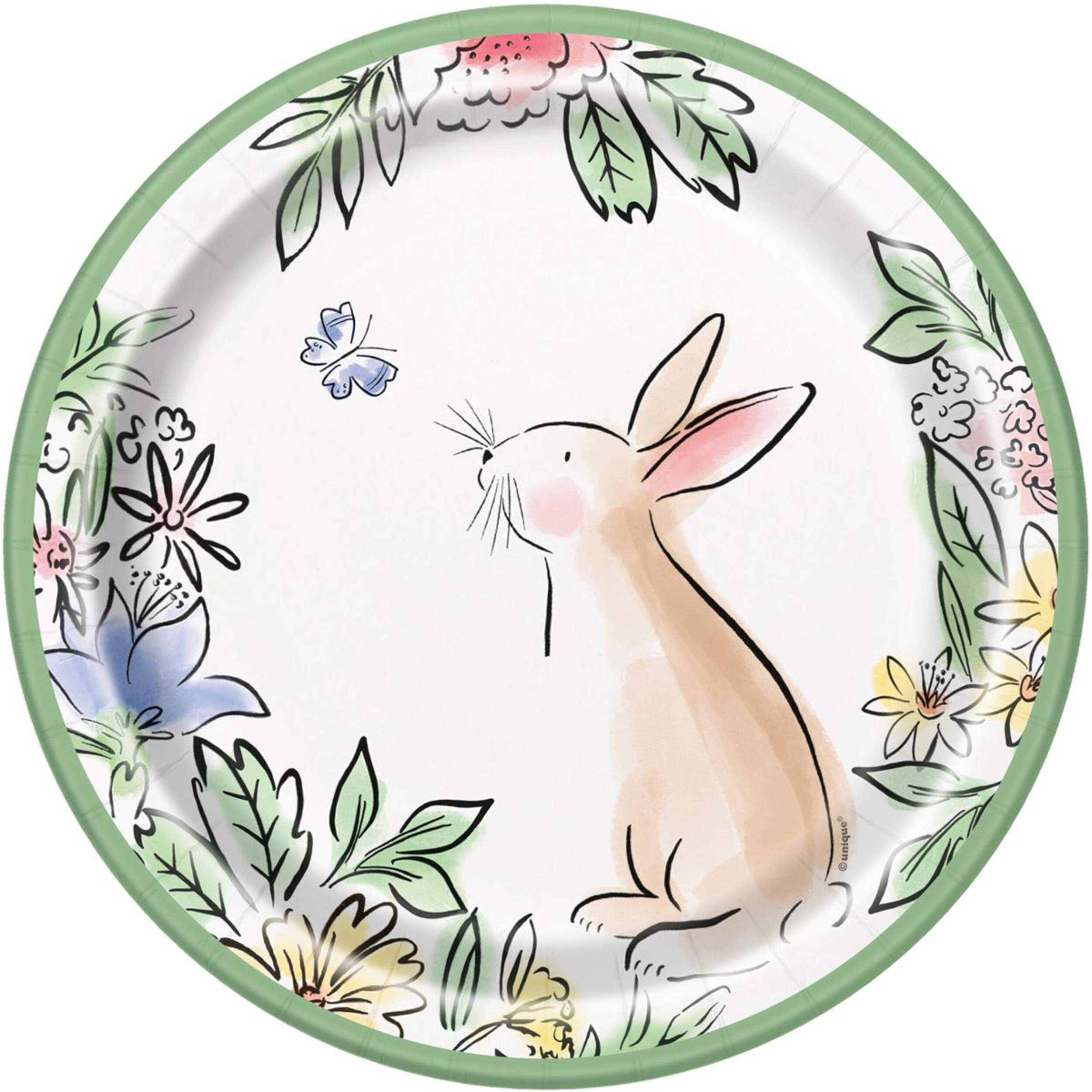 Dainty Bunny Round Paper Disposable Dinner Plates, Multi-Colour, 9-in, 8-pk, for Easter Overhead_Flat
