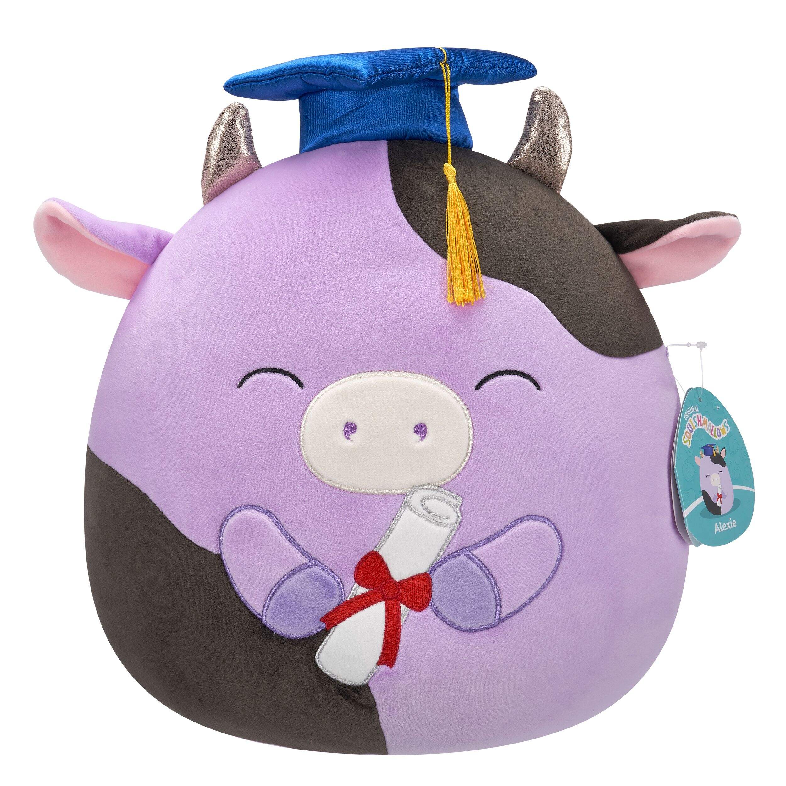 Peluches diplômées Squishmallow, choix varié, 12 po Front_Flat