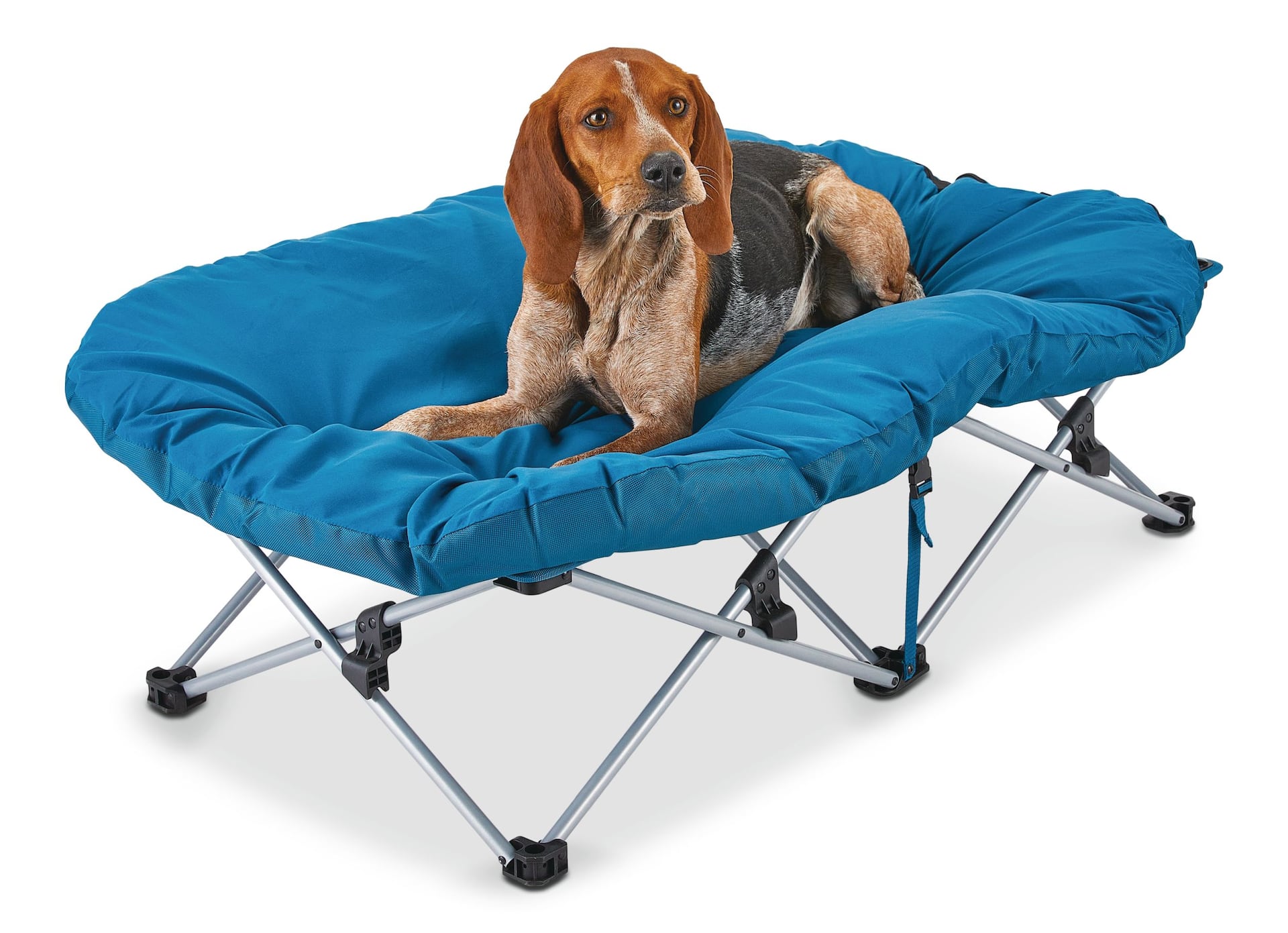 Dog 2025 camping bed