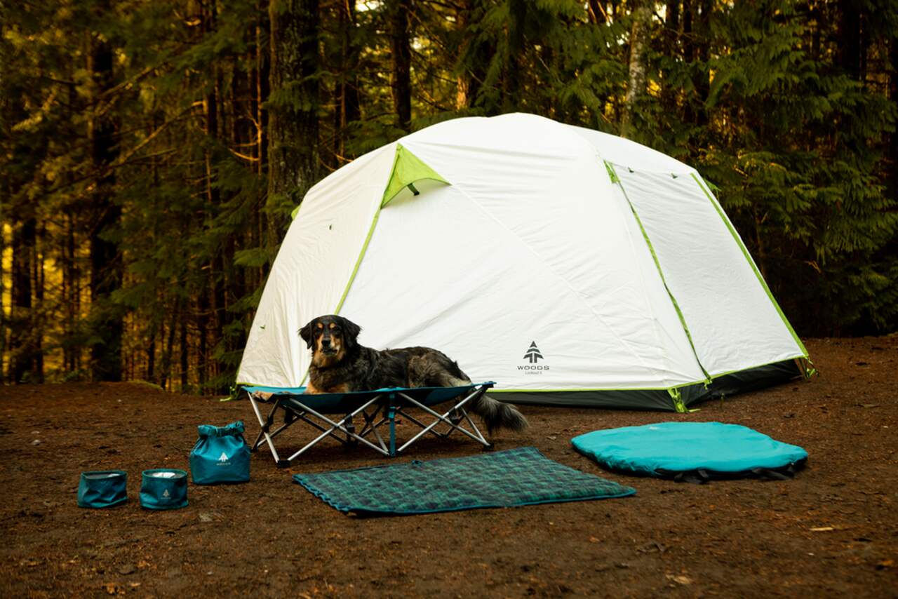 Très grand lit de camping pliant portatif Woods Instant avec étui, capacité  250 lb, bleu