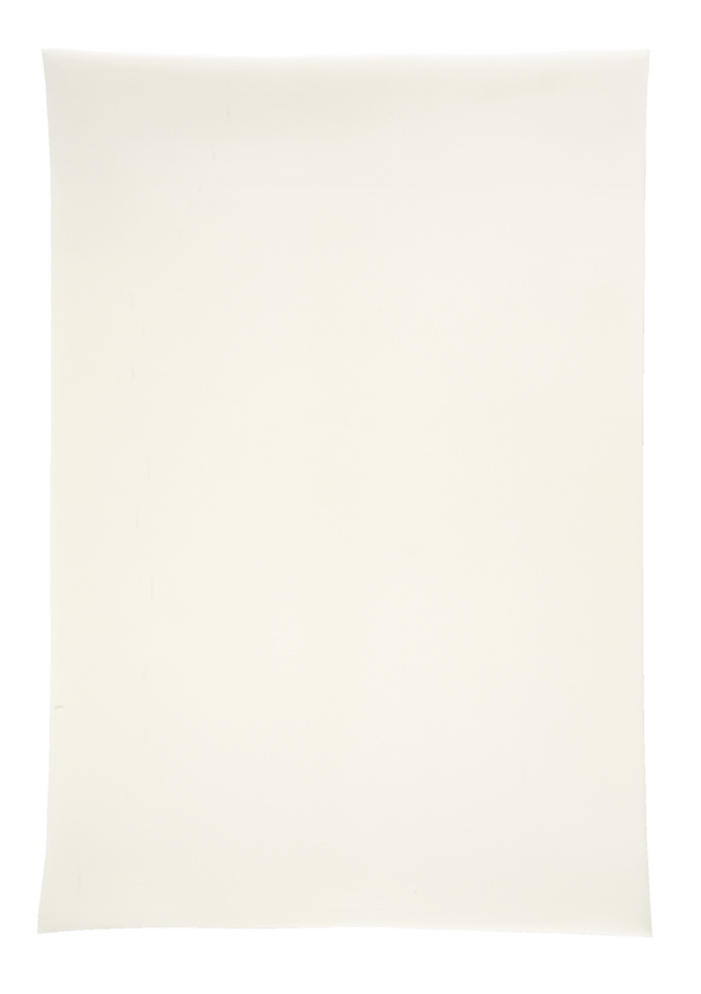 Outbound Double Soft Foam Camping Sleeping Pad/Mat, 4In Canadian Tire