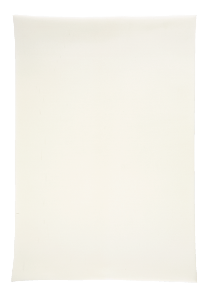 Outbound Double Soft Foam Camping Sleeping Pad/Mat, 4In Canadian Tire