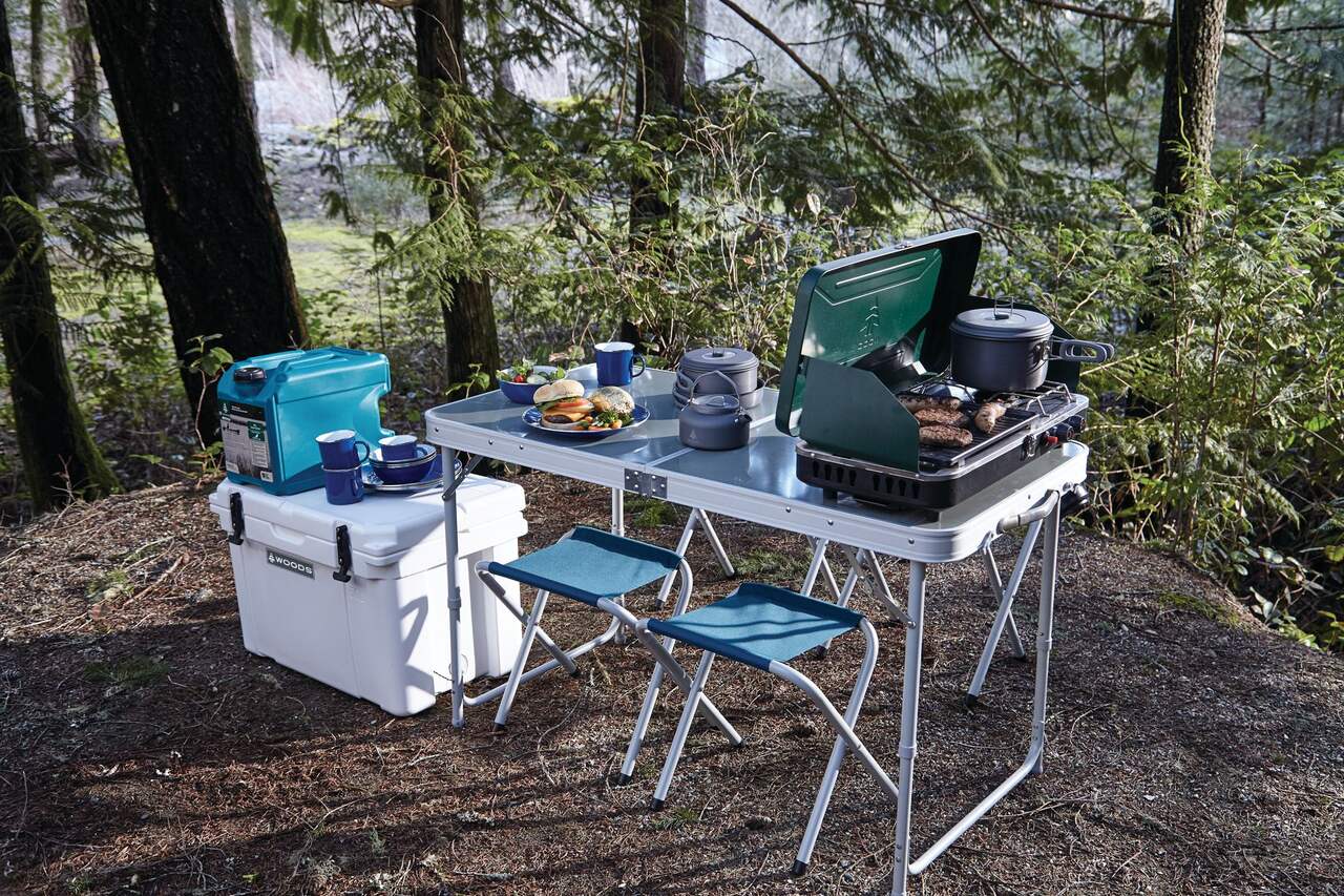 Woods Easy Fold Portable Folding Family Camping Table For Cooking & Dining  w/ Carry Bag