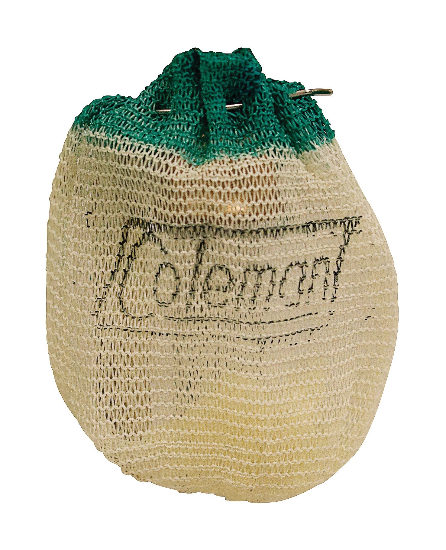 Coleman Insta-Clip Lantern Mantles, 2-Pack Of #21 Nigeria | Ubuy